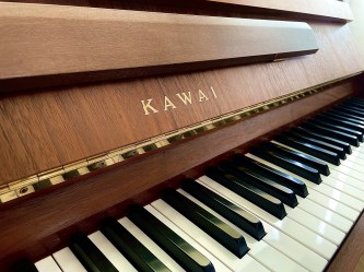 Kawai bois 2